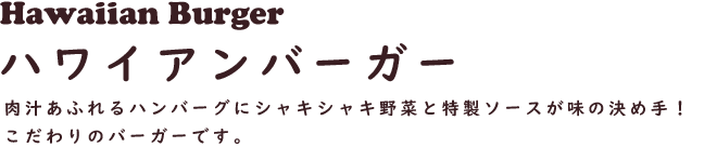 Hawaiian Burger ハワイアンバーガー
肉汁あふれるハンバーグにシャキシャキ野菜と特製ソースが味の決め手！
こだわりのバーガーです。